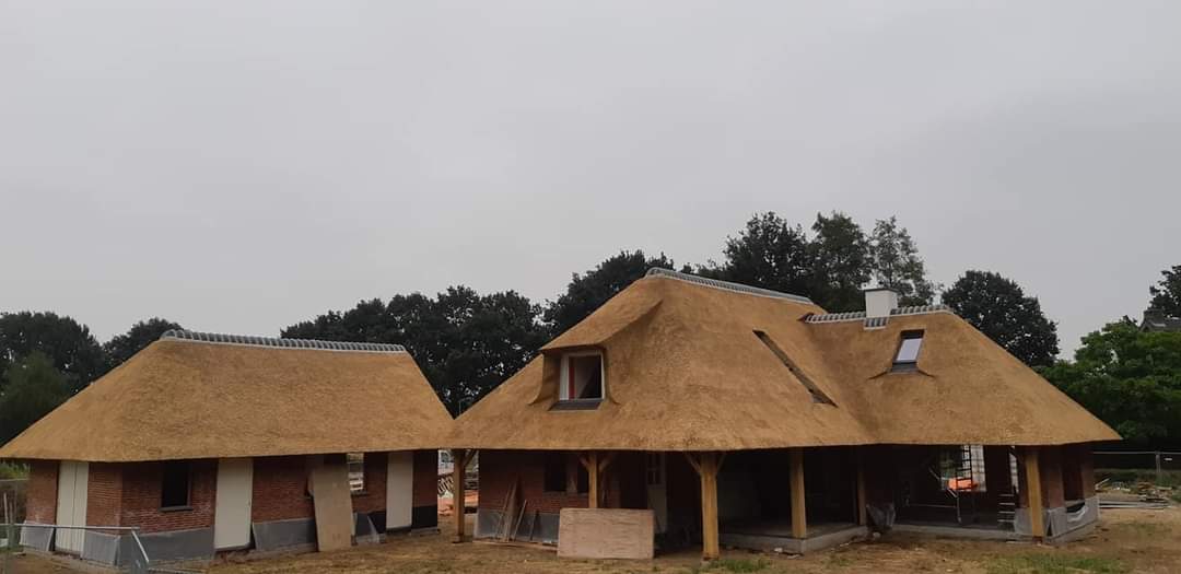 Detalii de excelență